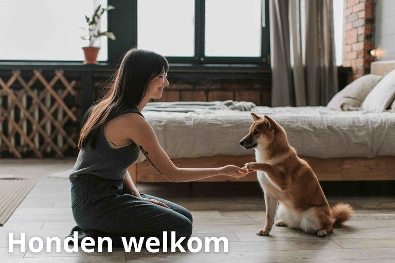 honden welkom.jpg