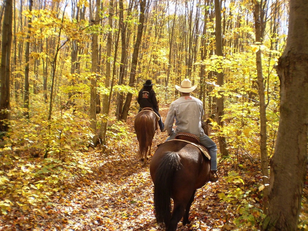 Séjours & Découvertes – Equestre [Dossier d'adhésion]