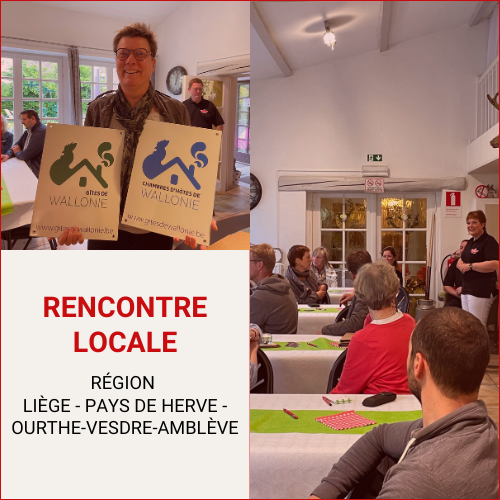 La rencontre locale Liège – Pays de Herve – Ourthe-Vesdre-Amblève 2023 : convivialité & réseautage